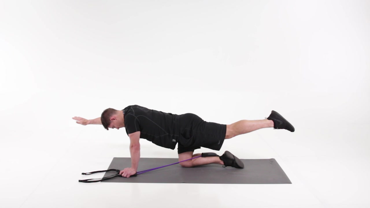 Opposite arm discount leg extension exercise