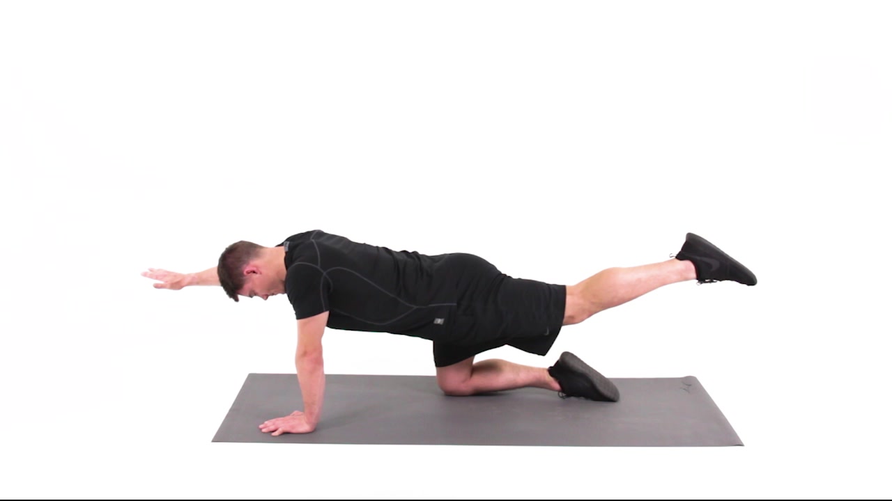 Opposite arm and online leg raise