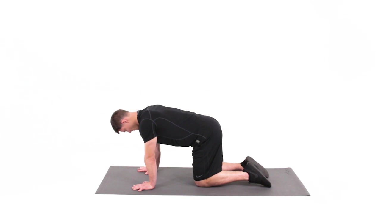 Bird Dog - Leg Slide with lift and opposite arm lift