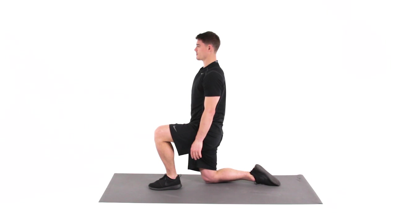 Quadruped to Half-Kneeling Transitions