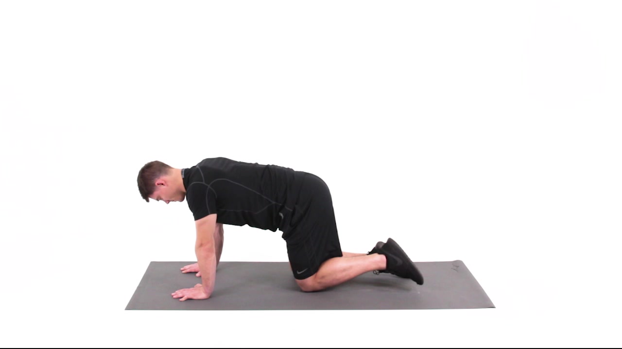 Bird Dog - 90 degree leg lift | Functional Movement Systems