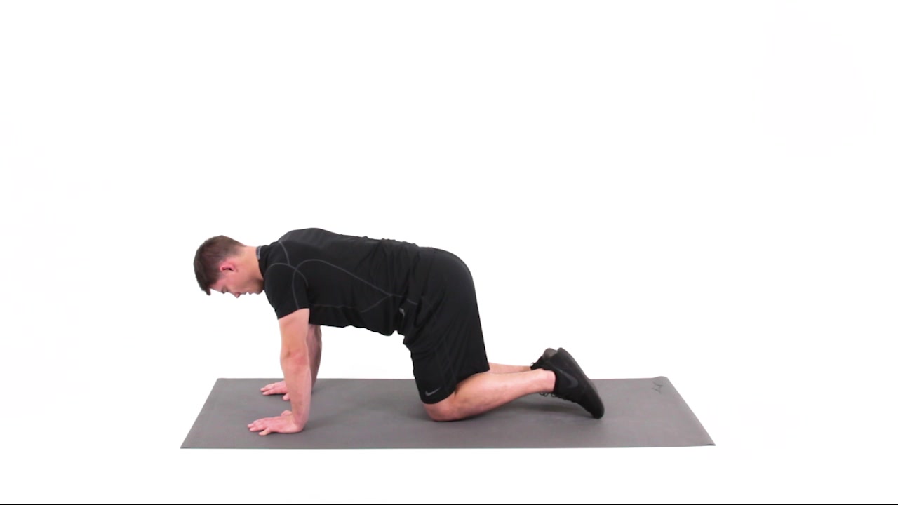 https://www.functionalmovement.com/exercises/image/28786