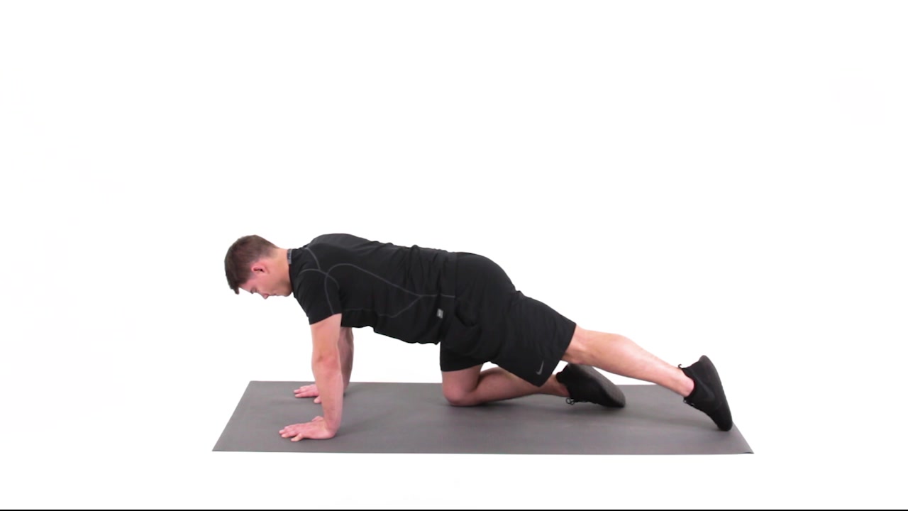 https://www.functionalmovement.com/exercises/image/28795