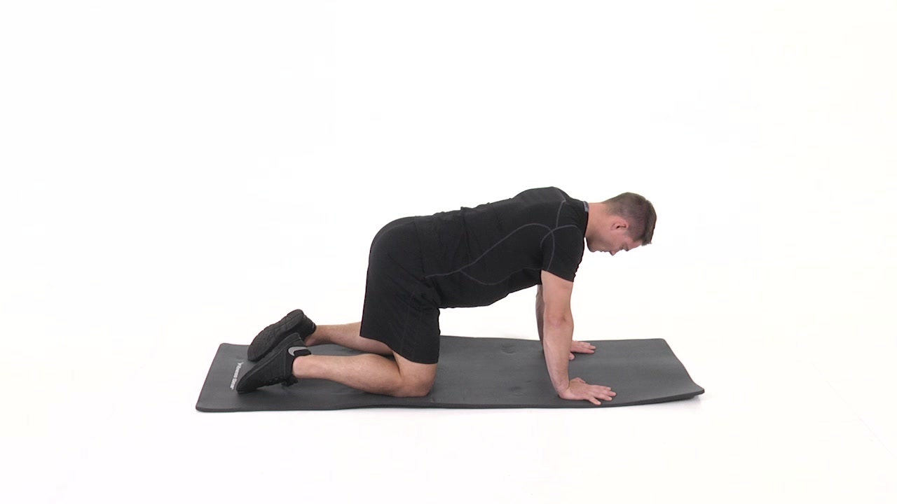 Camel stretch online exercise