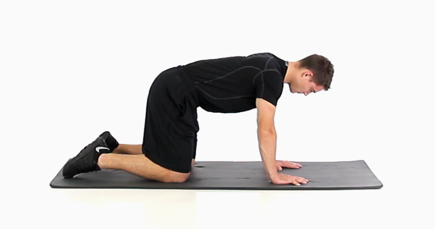 Leg Flexion, Quadruped, Mat, Exercise